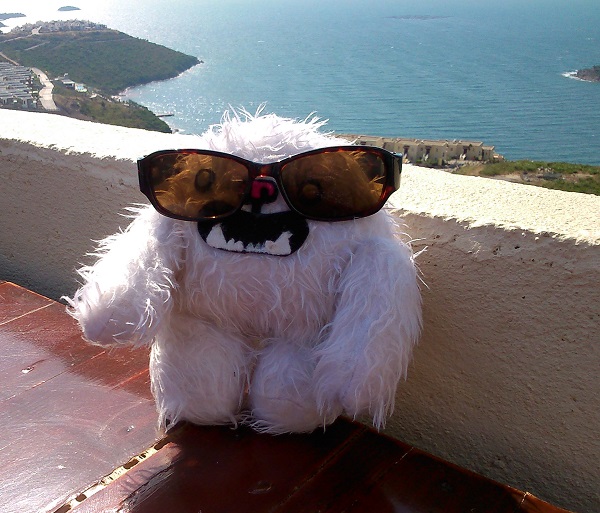 Magenta Living: Restoring employee engagement with an intranet upgrade (and a YETI) Turkey