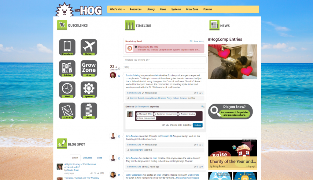9 engaging intranet design examples (beyond the homepage) The HOG Summer