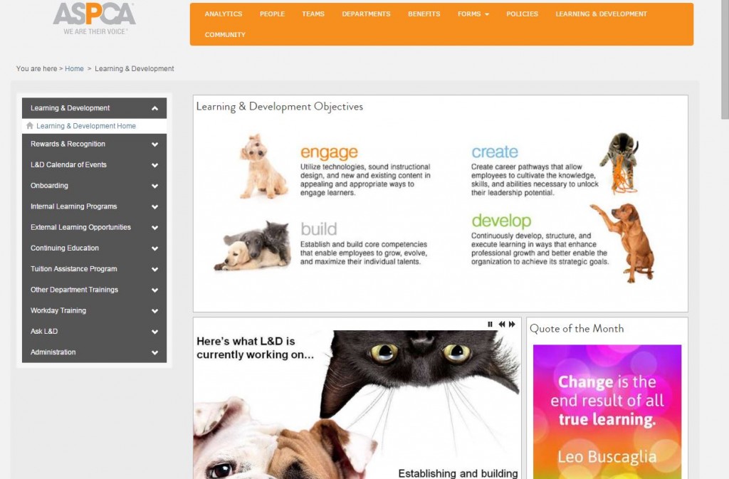 As a communications professional, how do you get the most out of your intranet? ASPCA L&D team area