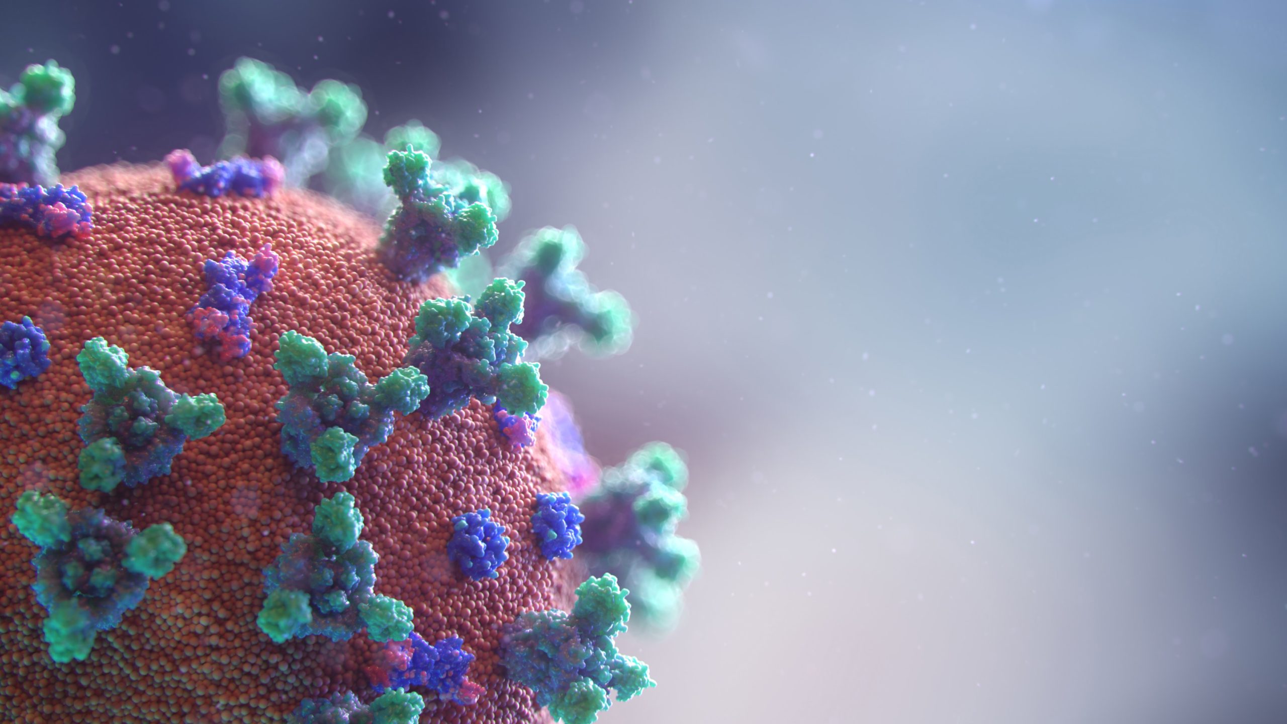 Featured image for How businesses in China navigated the coronavirus… and the lessons we can learn from them