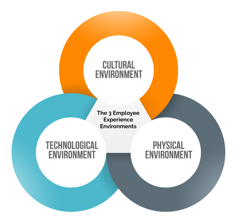 the three environments of employee experience